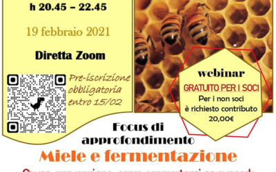 Miele e fermentazione. Cause, prevenzione e come comportarsi se succede – Webinar 19/02 ore 20:45