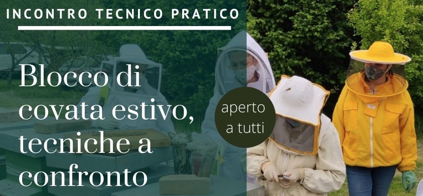 Blocco di Covata Estivo, Tecniche a Confronto, 30/06/2021 – Podere Stuard, Parma