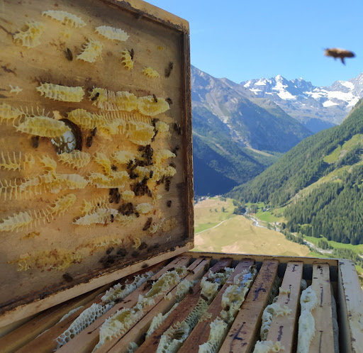 Incontro Territoriale “Alta Val di Taro” – 19/11, Albareto (PR)