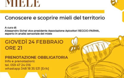 5 Sfumature di Miele, Soliera 24/02 ore 21:00