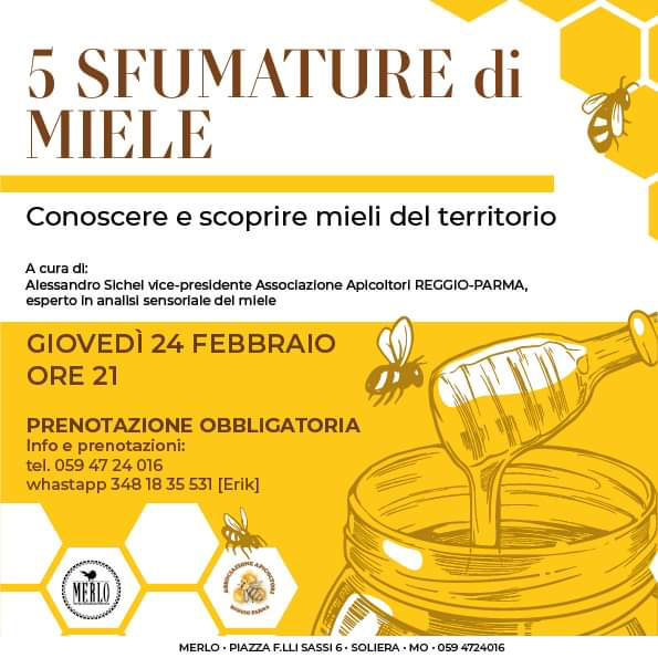 5 Sfumature di Miele, Soliera 24/02 ore 21:00