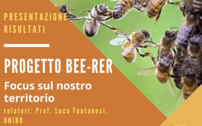 Presentazione dei Risultati del Progetto Bee-Rer – Diretta Facebook Mercoledì 26/04 ore 20:45