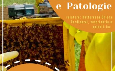 Confronto: Trattamenti e Patologie – 23/05/2024 – San Pancrazio (PR) h: 20:30